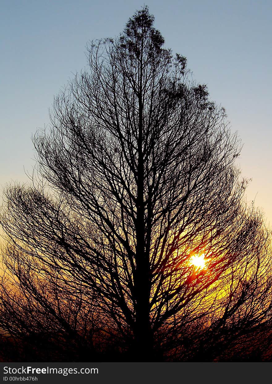 The African Sun sets on another day. The African Sun sets on another day