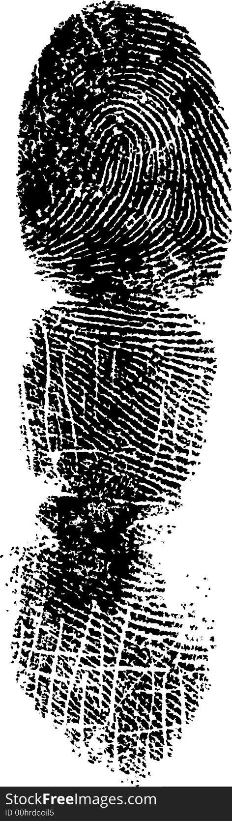 Full Finger FingerPrint (Very Detailed Vector Image). Full Finger FingerPrint (Very Detailed Vector Image)