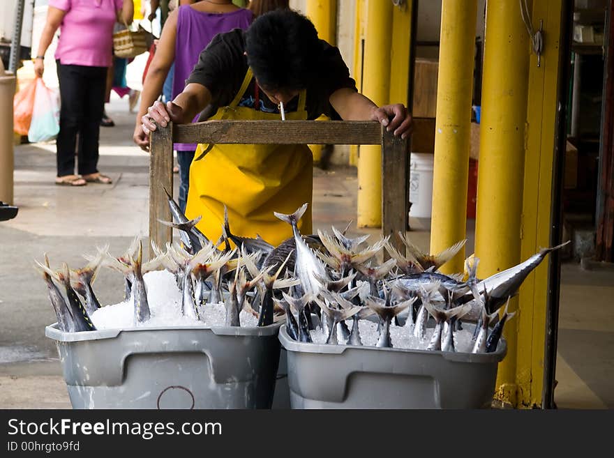 Worker pushing containers full of Yellowfin tuna. Worker pushing containers full of Yellowfin tuna