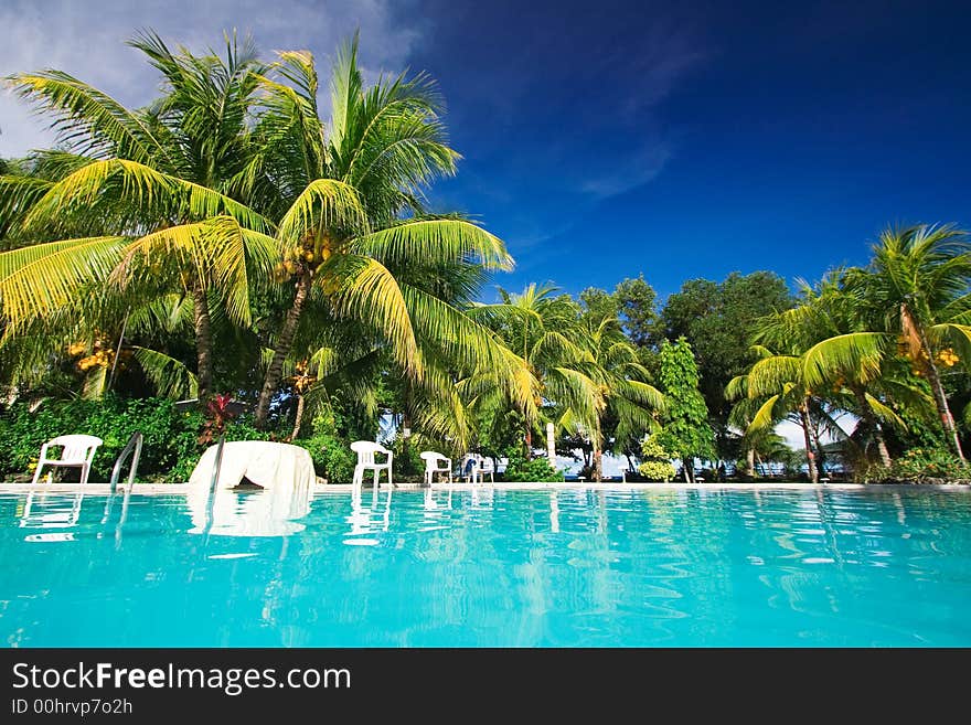 Pleasant private resort hotel pool with turquiose colored water with green palm trees beside and tables and chairs for relaxing. Room for text. Pleasant private resort hotel pool with turquiose colored water with green palm trees beside and tables and chairs for relaxing. Room for text.