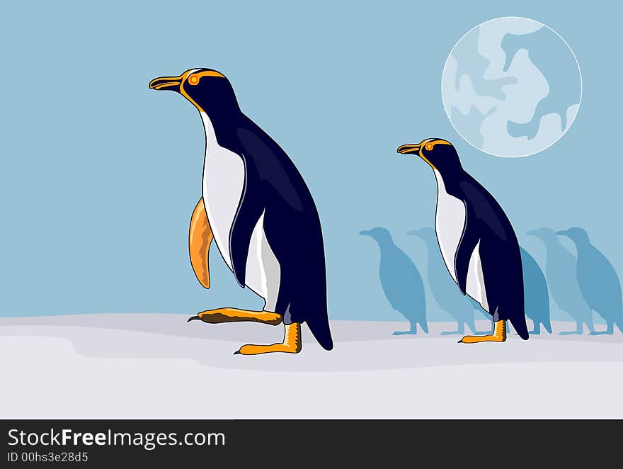 Vector art on the yellow eyed penguins. Vector art on the yellow eyed penguins