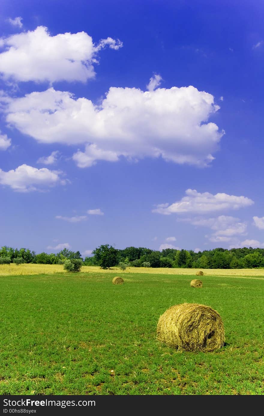 Agricultural landscape of hay bales in a field. Agricultural landscape of hay bales in a field