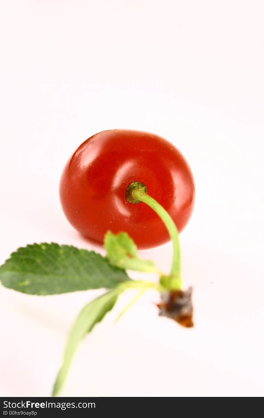 Red cherry 100 isolated on white -brown