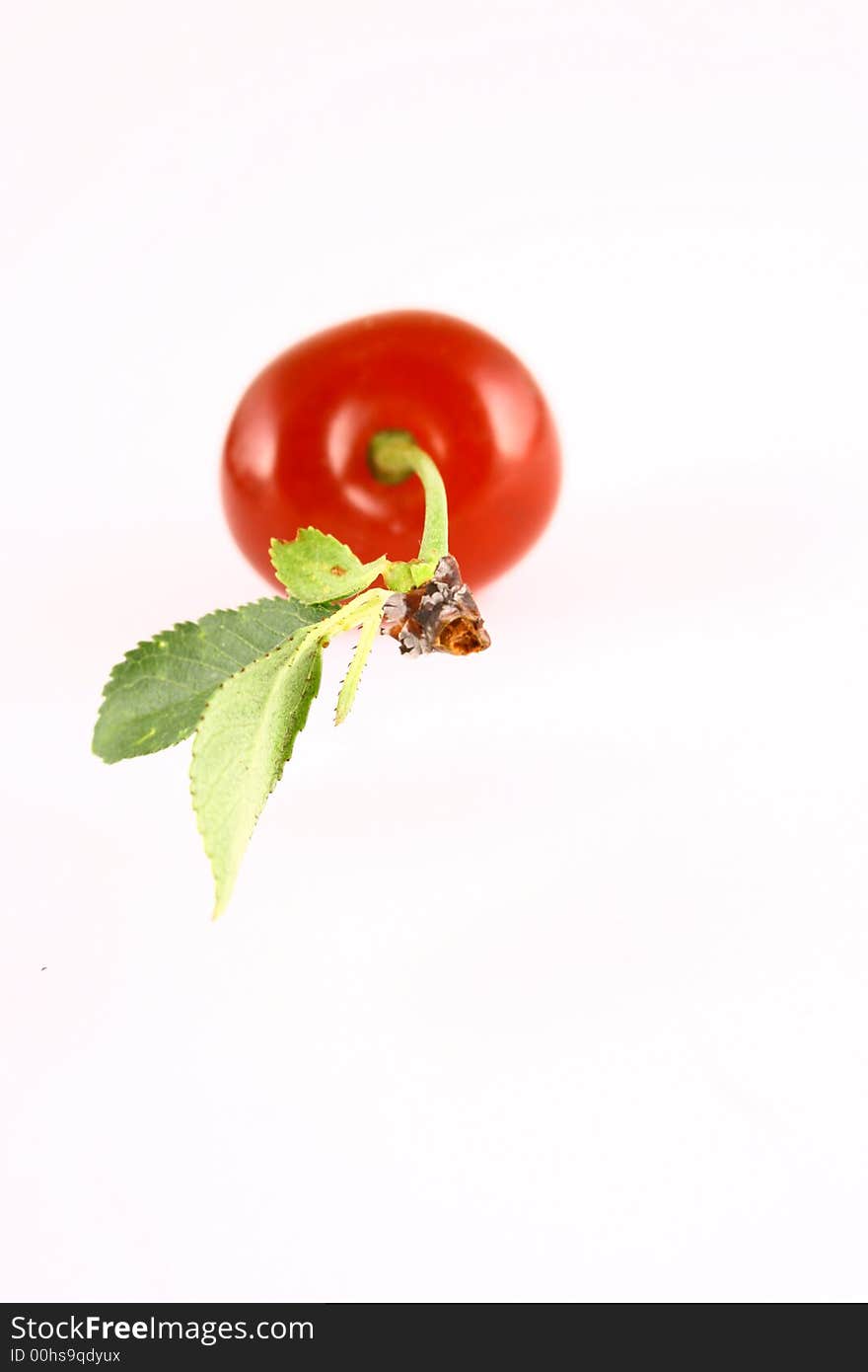 Red cherry 100 isolated on white -brown