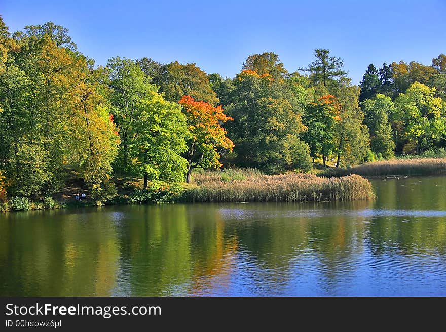 Autumn landscape with blue sky, trees and pond. Autumn landscape with blue sky, trees and pond