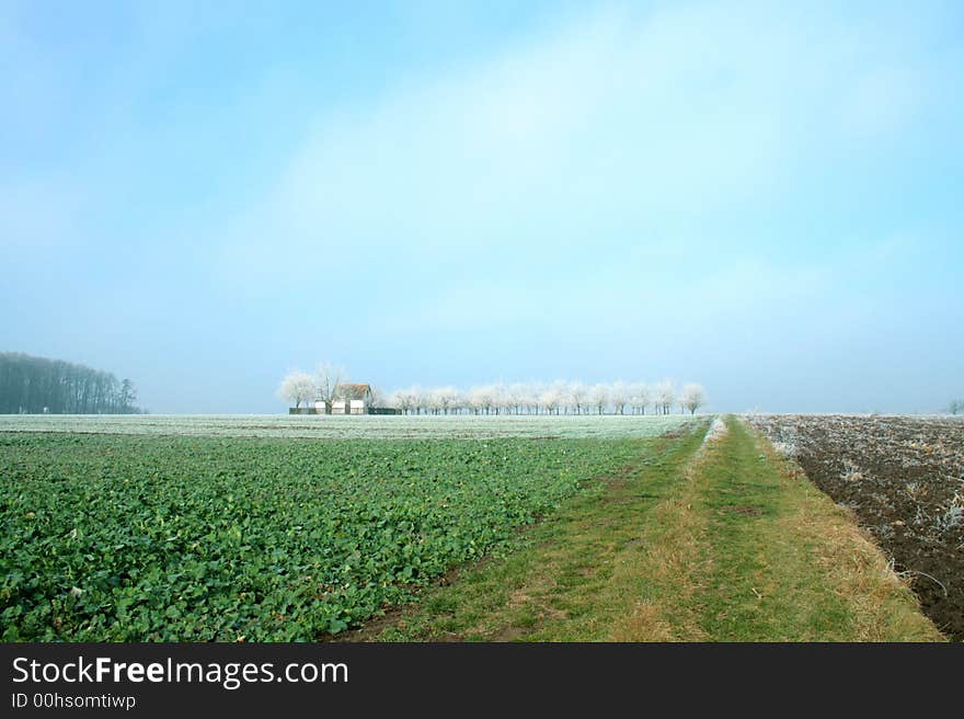 Foggy landscape on the cold misty morning. Foggy landscape on the cold misty morning