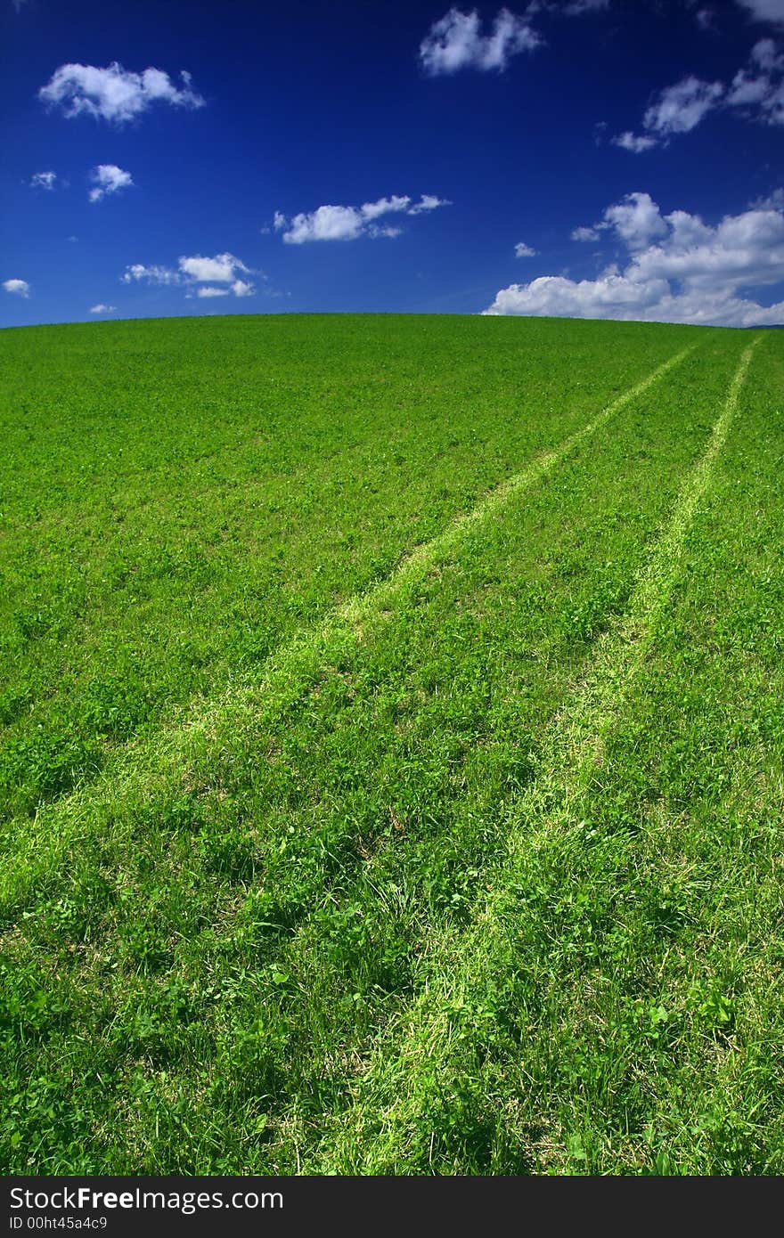 Field path destined to the blue sky with clouds. Field path destined to the blue sky with clouds