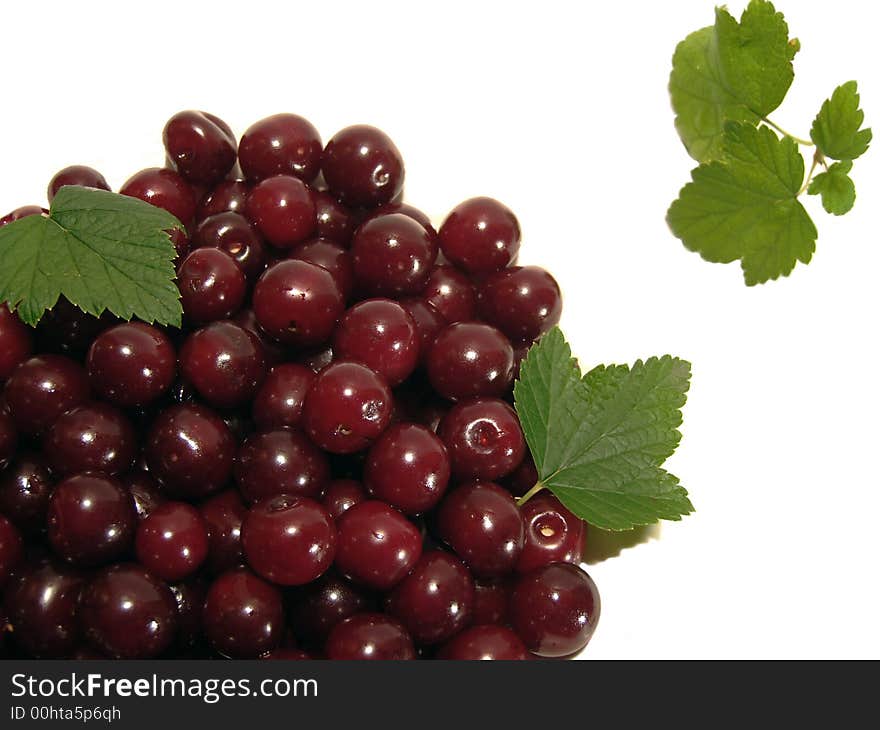 Sweet cherry on white background