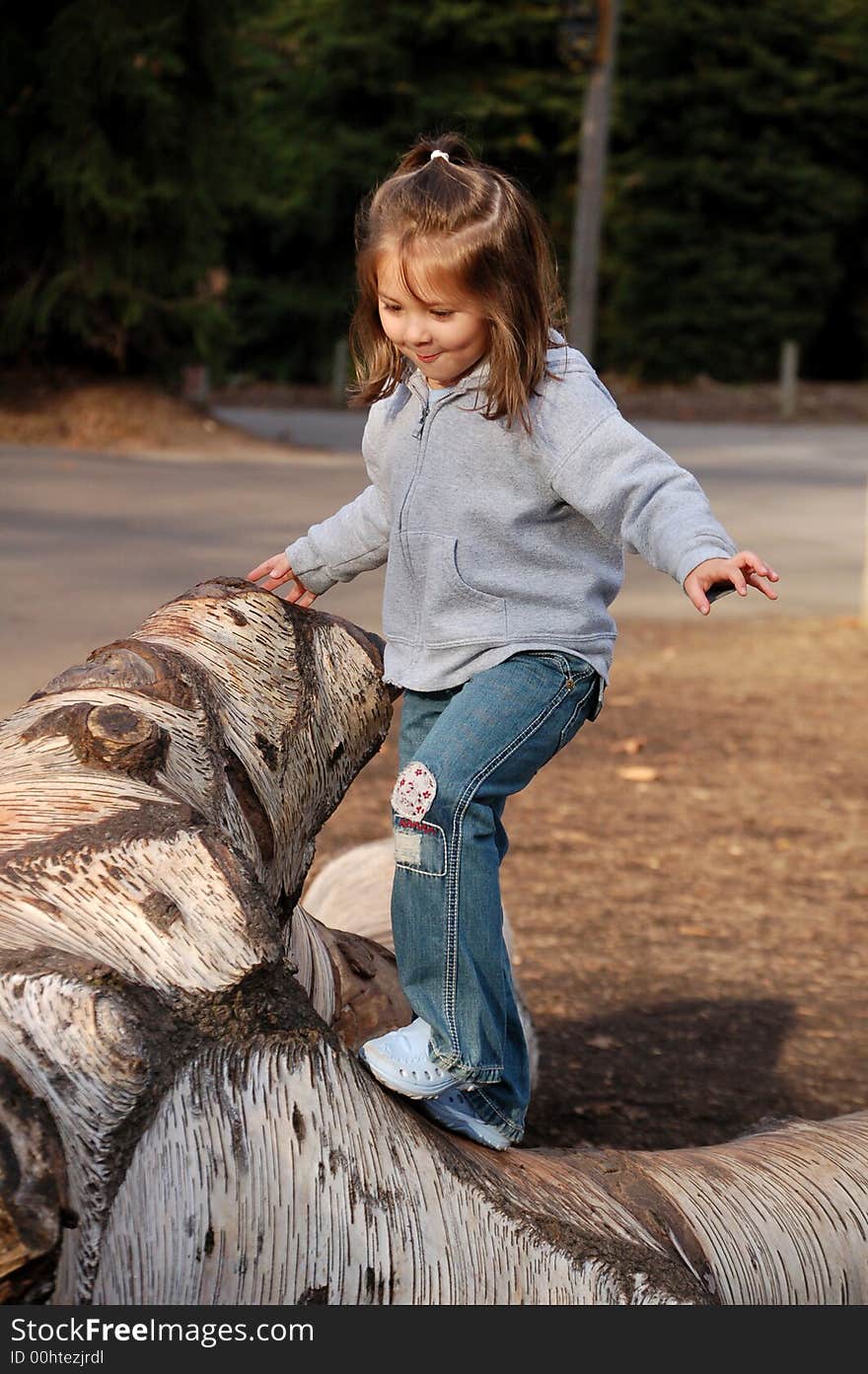 Four year old girl trying to keep her balance while walking on a tree. Four year old girl trying to keep her balance while walking on a tree.