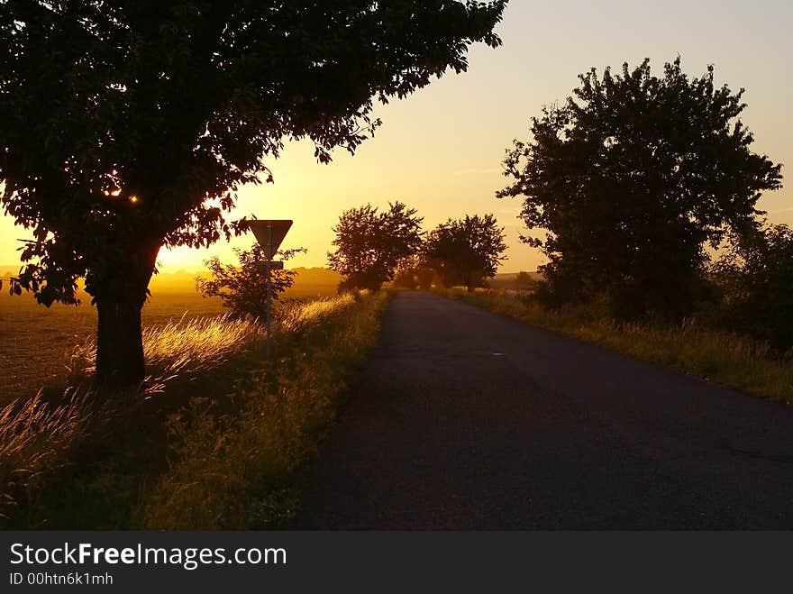 Red summer sunset aftef hot day. Silhouettes of trees, sun and road. Red summer sunset aftef hot day. Silhouettes of trees, sun and road.