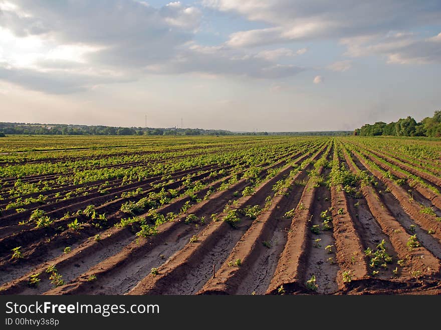 Giant tillage in russia, under Moscow