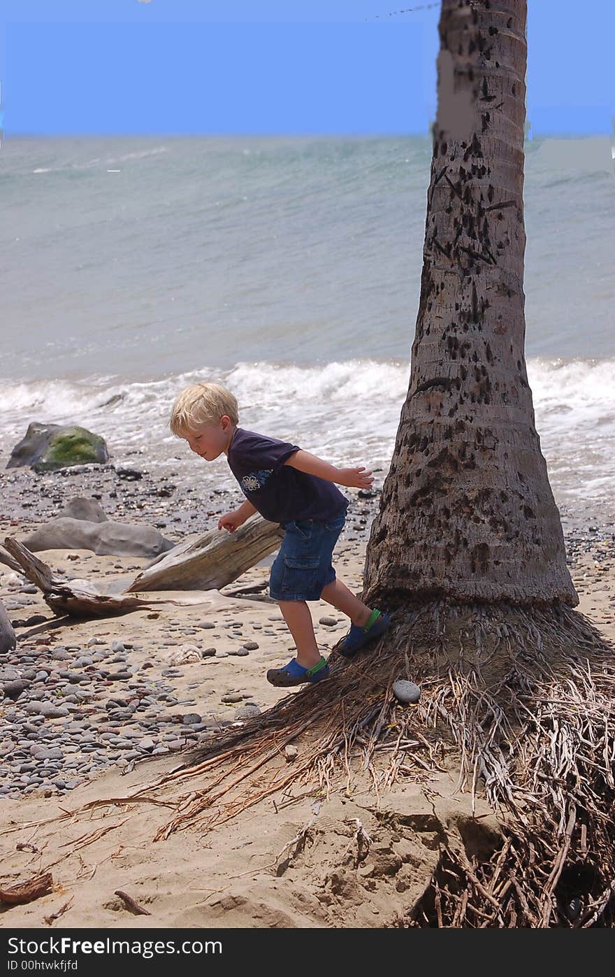 The Tree Walker