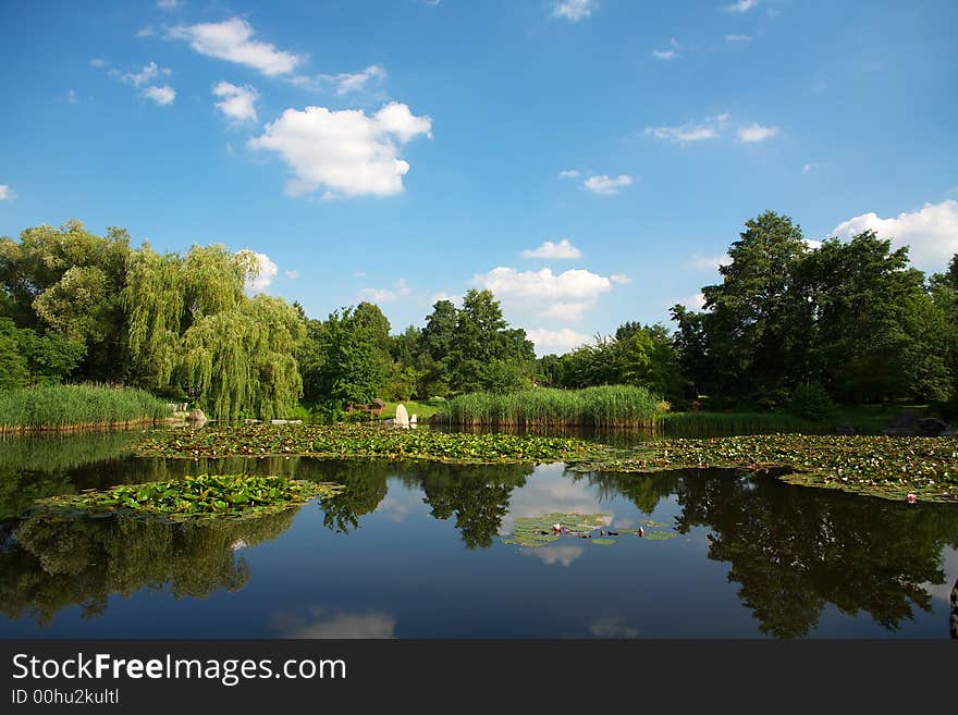 Summer Landscape