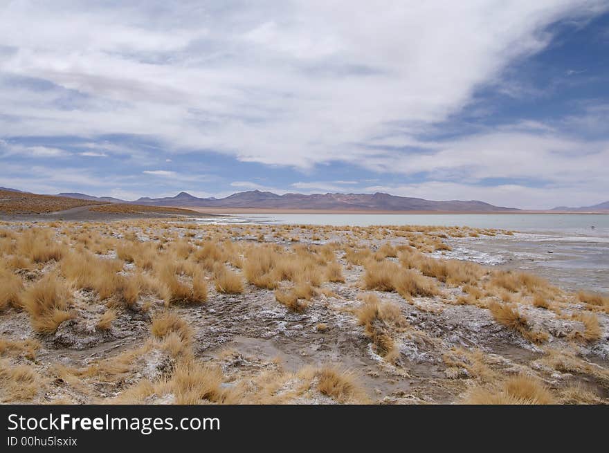 Salt lake in the Altiplano of Bolivia