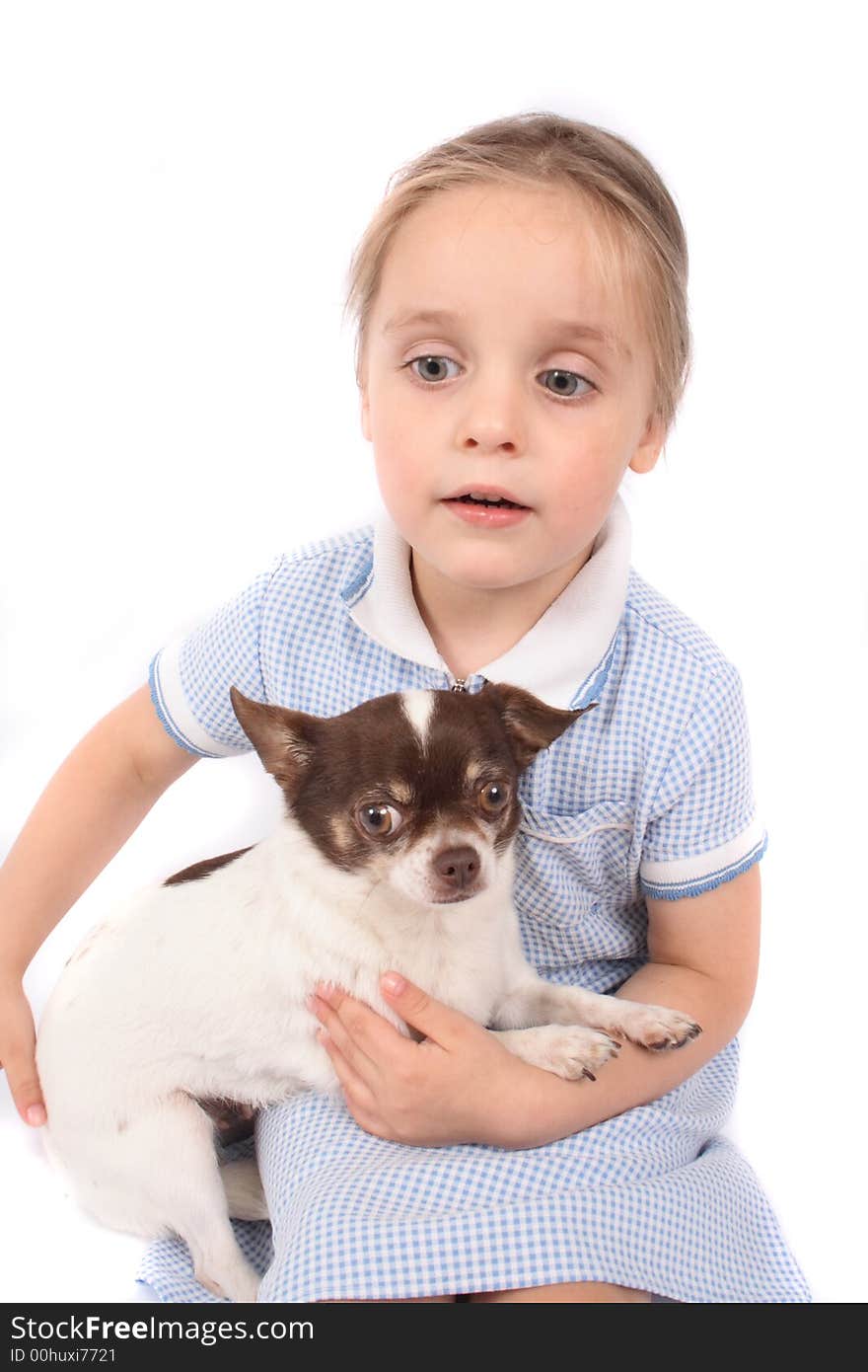 Small girl and her small chihuahua on the white background. Small girl and her small chihuahua on the white background