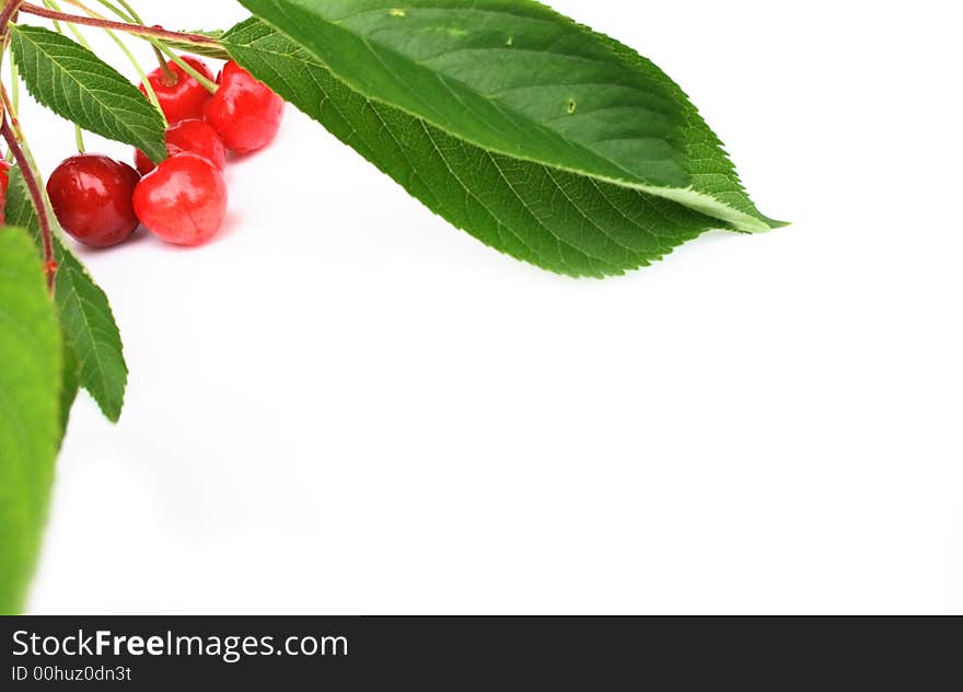 Fresh red cherries on the white background