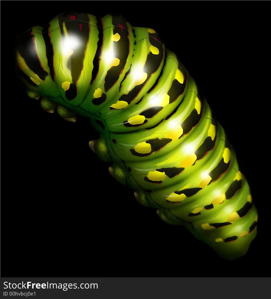 An illustration of a caterpillar, created entirely in Adobe Photoshop, using paths, fills, blend and of course the airbrush tool. An illustration of a caterpillar, created entirely in Adobe Photoshop, using paths, fills, blend and of course the airbrush tool.