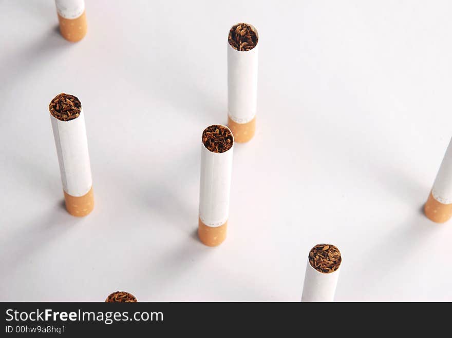 Standing cigarettes on white background - isolated