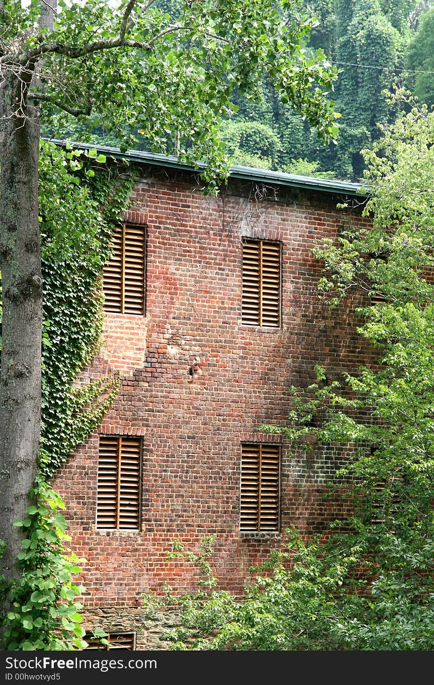 An old brick mill covered with vines. An old brick mill covered with vines