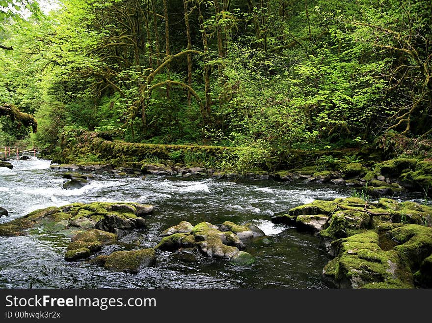 A small stream in the southern Washington Cascade mountain range. A small stream in the southern Washington Cascade mountain range