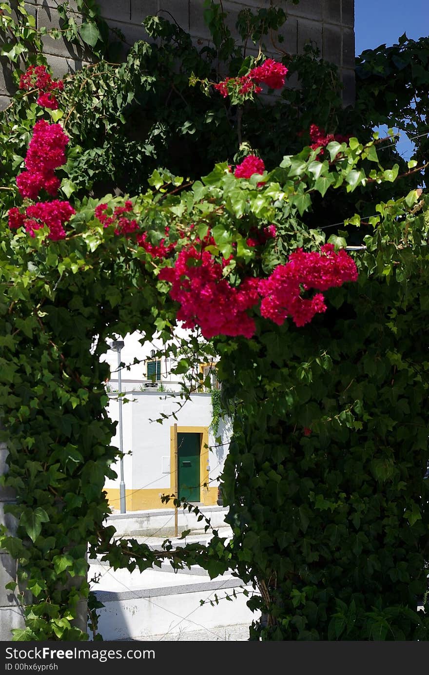 Quarter Located in Évora.