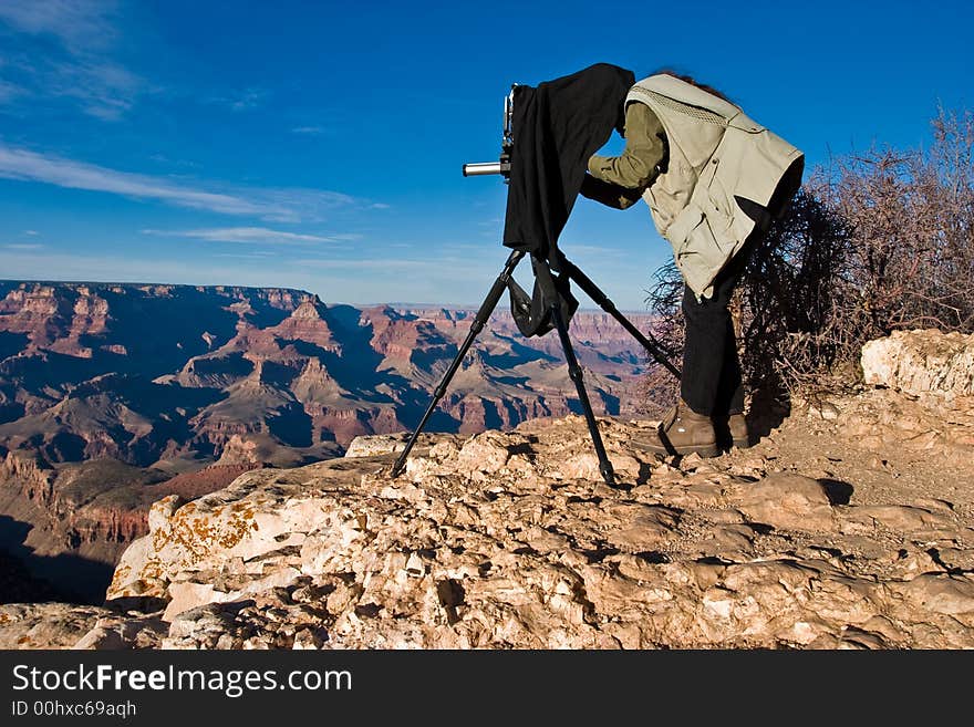 The photographer focusing his large format view camera. The photographer focusing his large format view camera