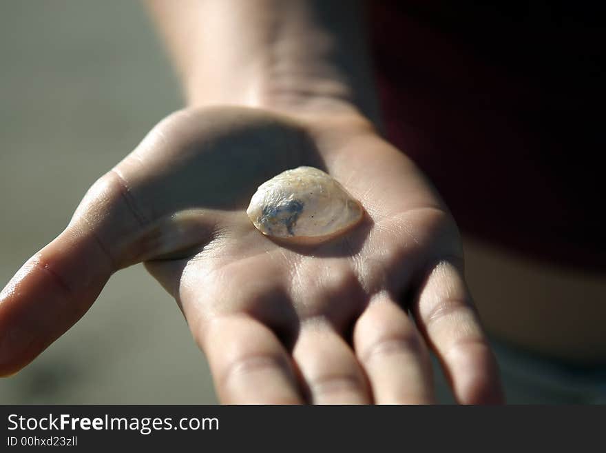 Ocean shell on a woman's palm