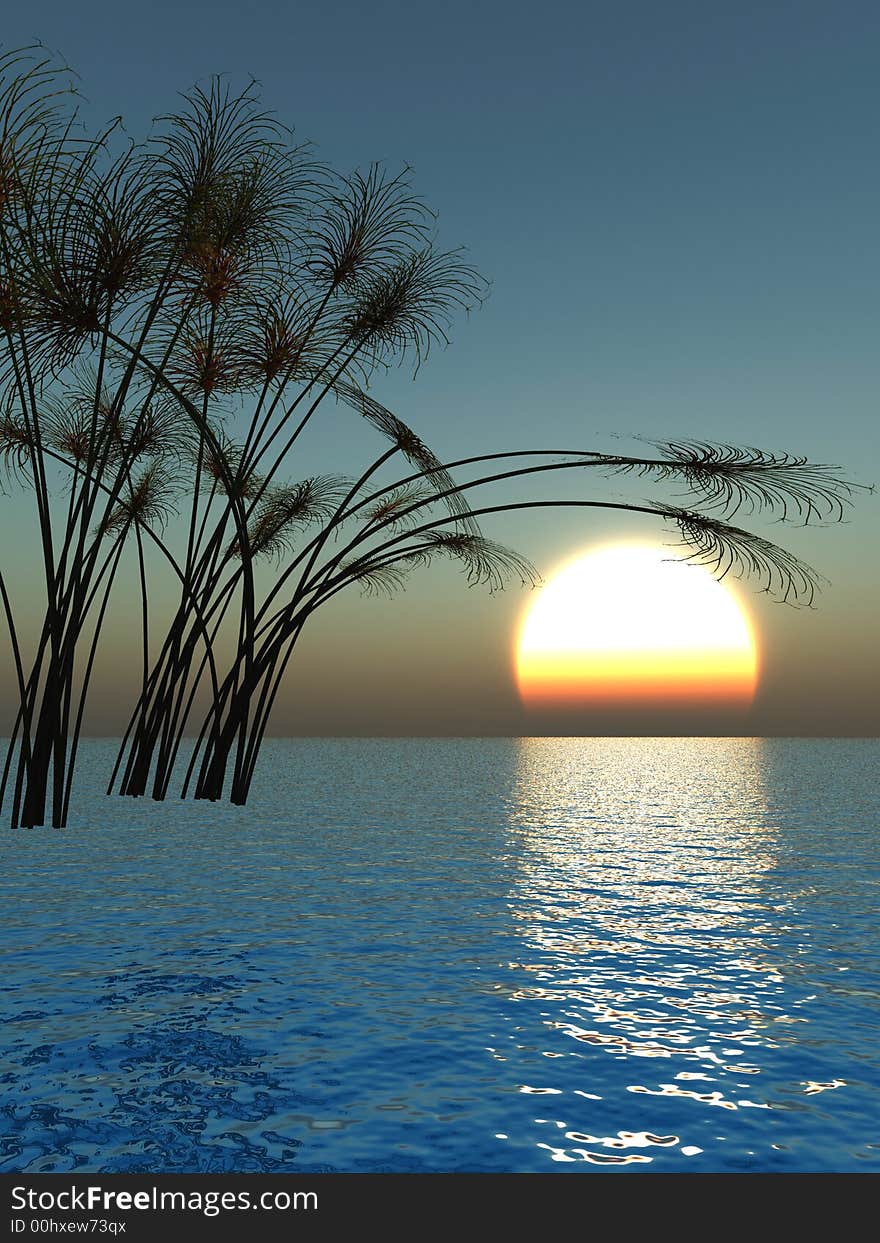 Water plants on a sea sunset background - 3D scene. Water plants on a sea sunset background - 3D scene.