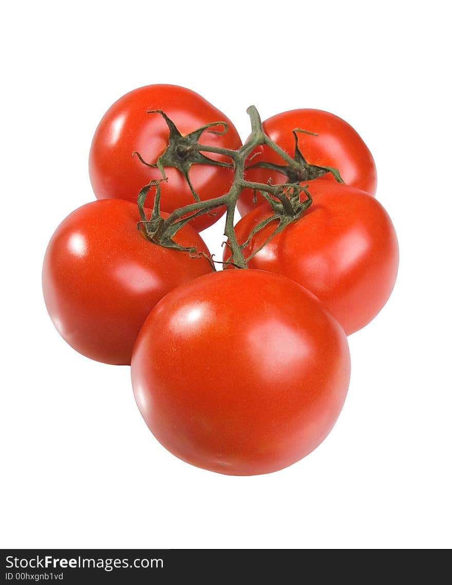 The Spanish tomatoes on a branch on a white background