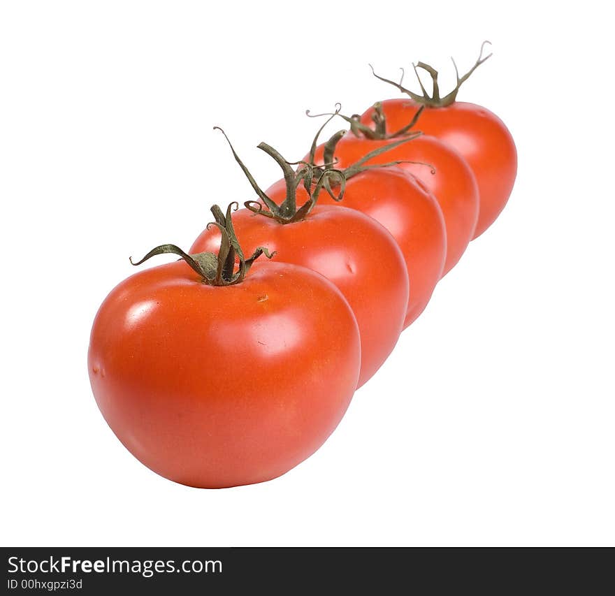 A line of red tomatoes on a white background. A line of red tomatoes on a white background