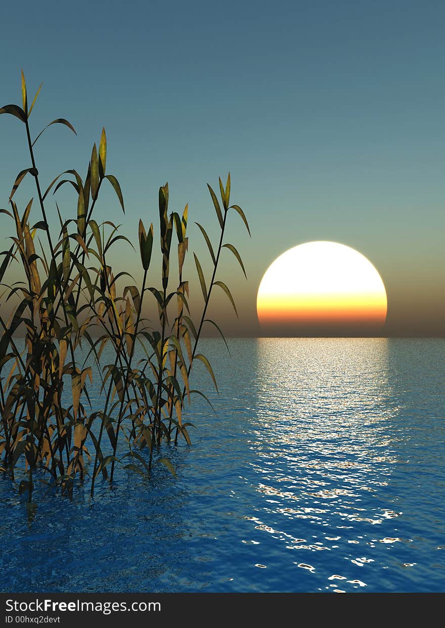 Water plants on a sea sunset  background  -  3D scene. Water plants on a sea sunset  background  -  3D scene.