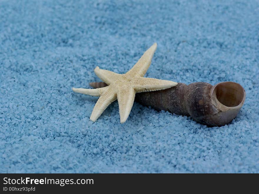 Shell and sea-urchin in blue bat-salts. Shell and sea-urchin in blue bat-salts.