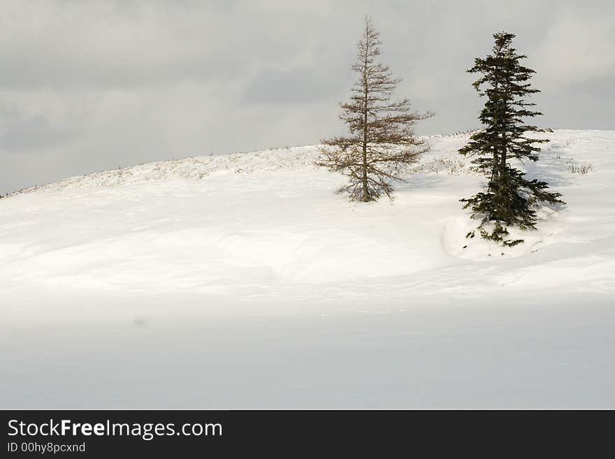 Alone on an island in a winter. Alone on an island in a winter...