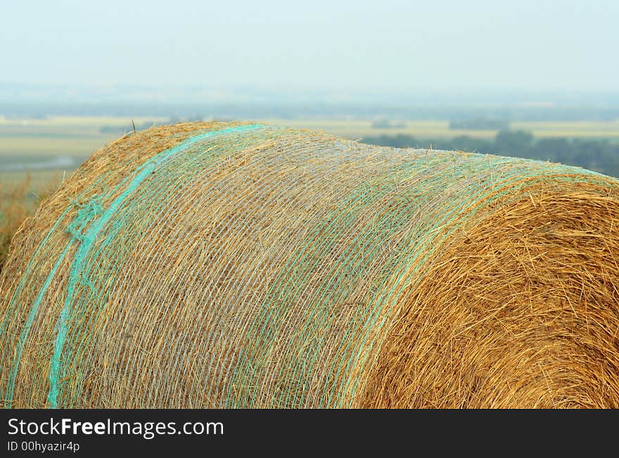 Round Bale With Netting