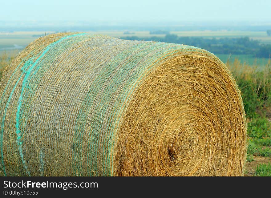 Round bale with netting