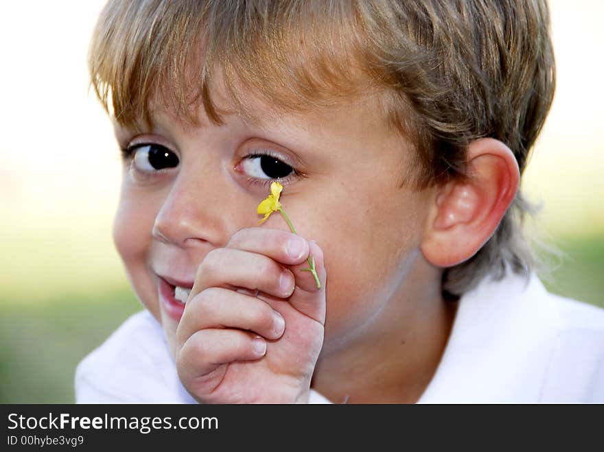 Handsome young boy showing a yellow wildflower he picked from the yard. He has expressive eyes and a sweet smile. Handsome young boy showing a yellow wildflower he picked from the yard. He has expressive eyes and a sweet smile.