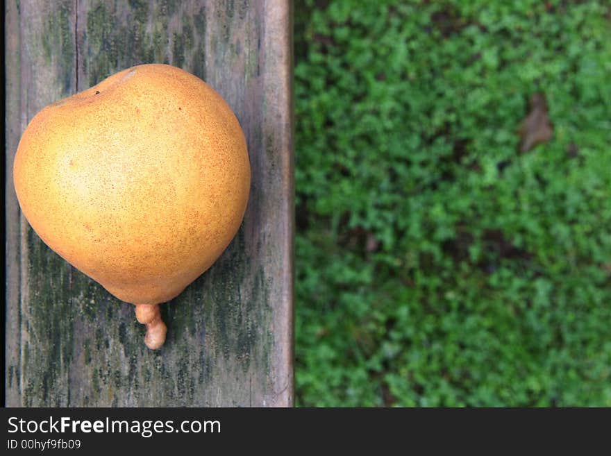 A yellow brown ripe pear on a weathered wooden park table