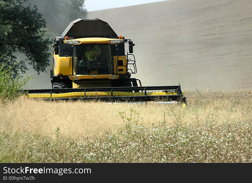 Summer harvest on field in Czech republic. Summer harvest on field in Czech republic