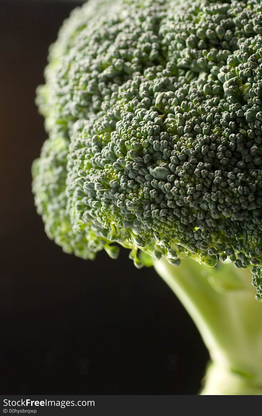 Broccoli close up on a black background