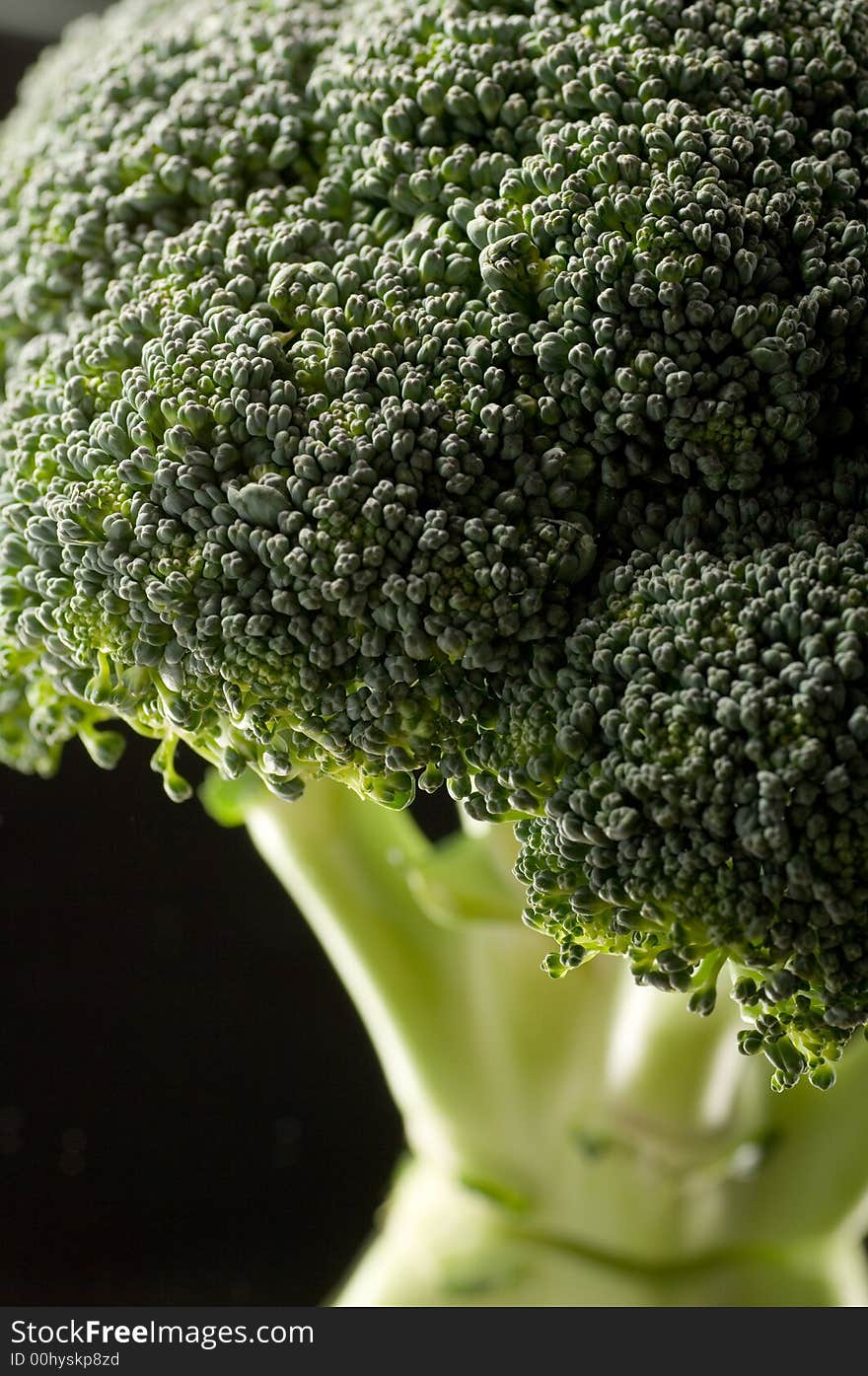 Broccoli close up on a black background