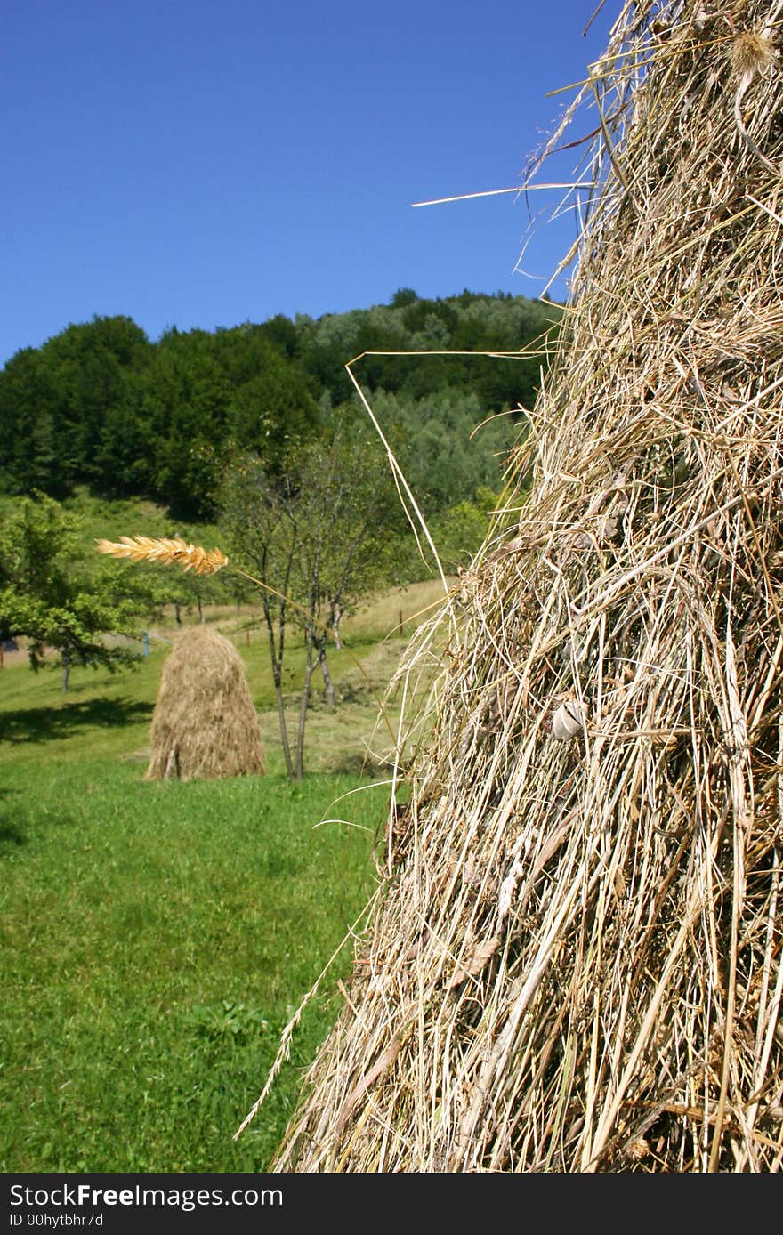 Summer landscape with hayrick