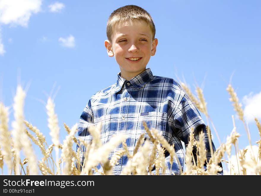 Boy in the middle of a wheaten field. Boy in the middle of a wheaten field