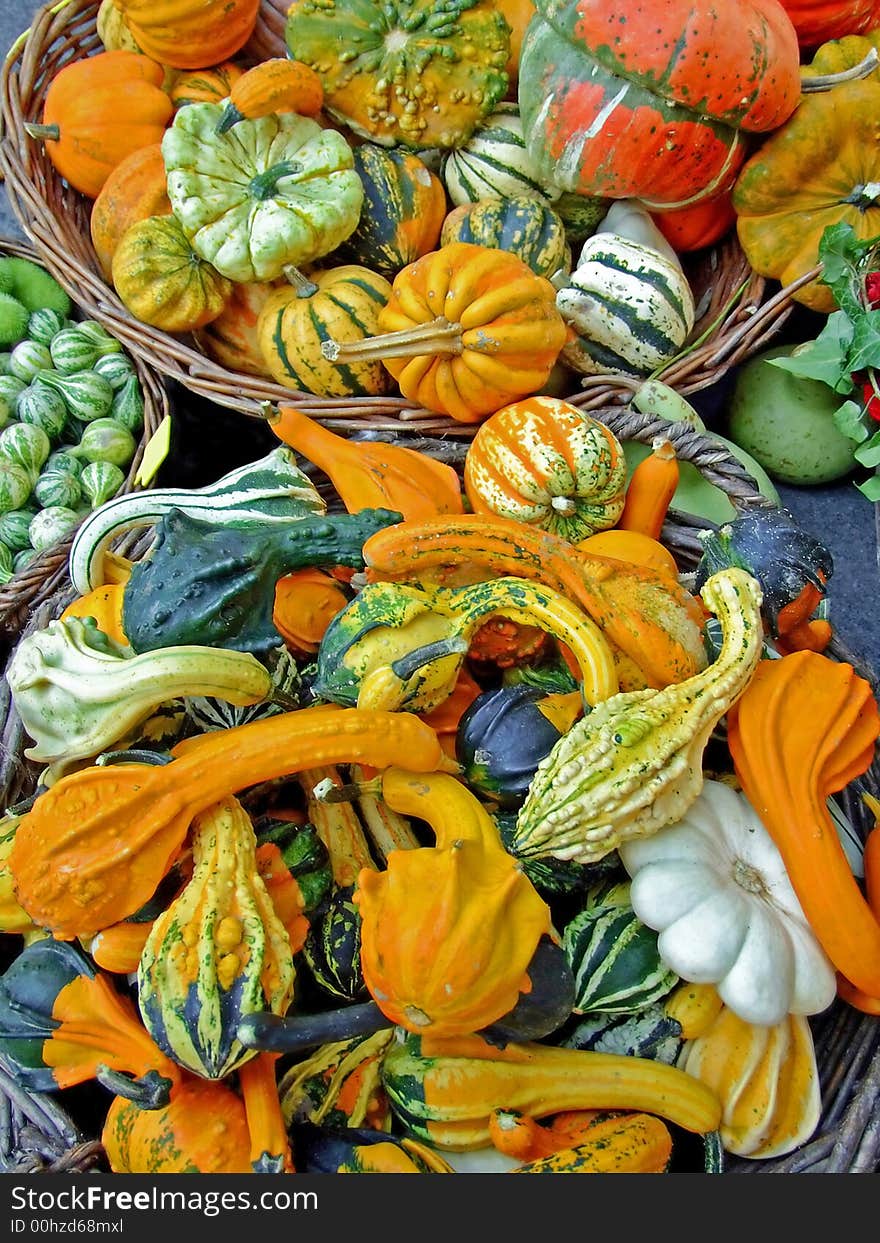 Pumpkins assortment