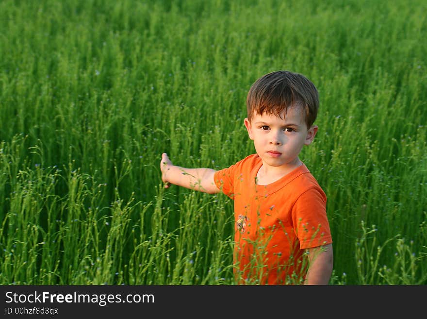 Sight of the boy among a green grass in the afternoon