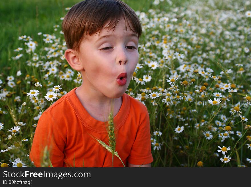 Emotions of the child among a field of camomiles