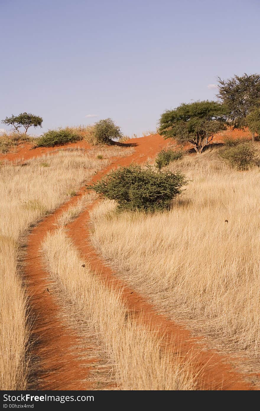 Sand dunes in Africa, desert