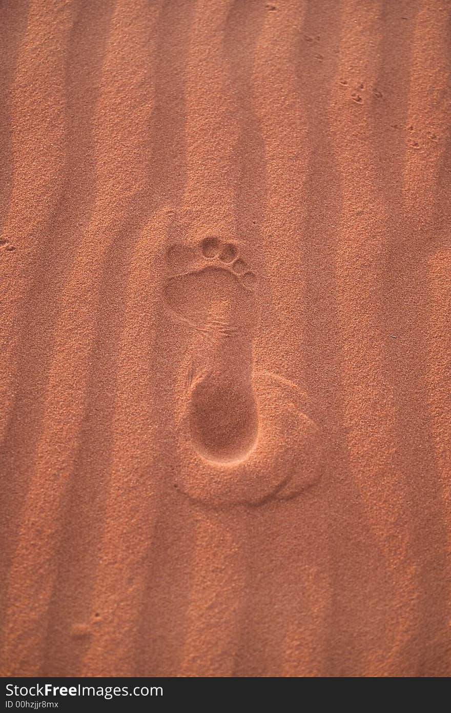 Sand dunes in Africa, desert