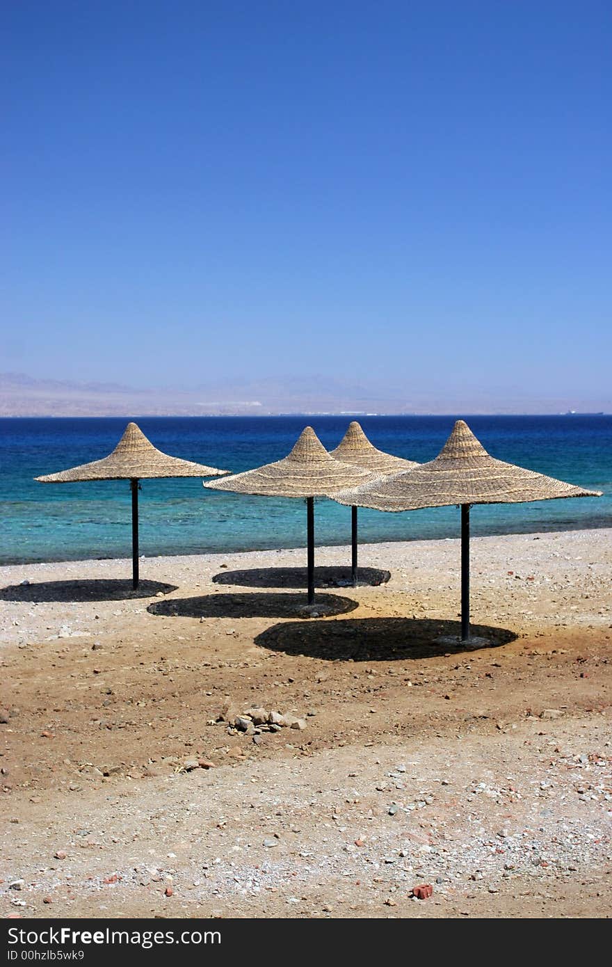 Beach Umbrella