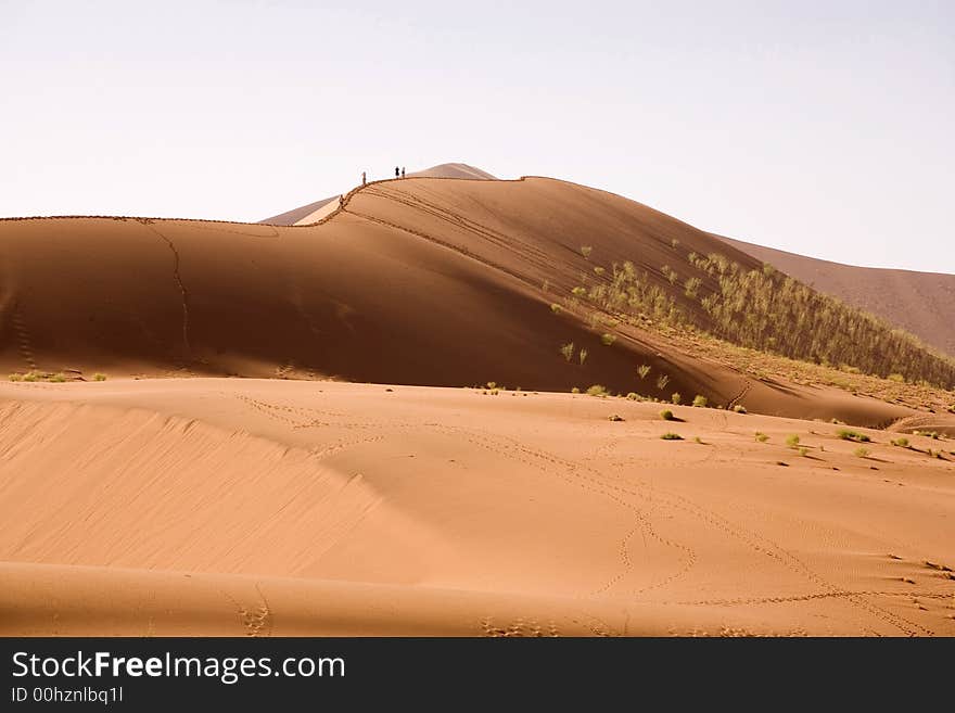 Sand dunes in Africa, desert