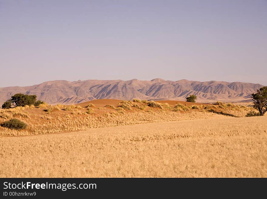 Sand dunes in Africa, desert